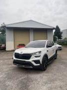 Bán xe Skoda Kushaq 2025 Ambition 1.0 TSI AT giá 599 Triệu - TP HCM
