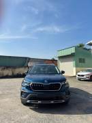 Bán xe Skoda Kushaq 2025 Style 1.0 TSI AT giá 599 Triệu - TP HCM