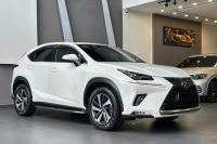 Bán xe Lexus NX 2019 300 giá 1 Tỷ 679 Triệu - TP HCM
