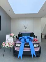 Bán xe VinFast VF3 2025 Plus giá 270 Triệu - Lai Châu