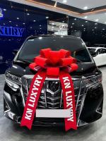 Bán xe Toyota Alphard 2021 Luxury Executive Lounge giá 3 Tỷ 299 Triệu - TP HCM