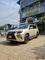Bán xe Lexus GX 2011 460 giá 1 Tỷ 290 Triệu - TP HCM