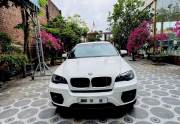 Bán xe BMW X6 2010 xDrive35i giá 338 Triệu - TP HCM