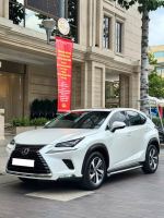 Bán xe Lexus NX 300 2017 giá 1 Tỷ 350 Triệu - TP HCM