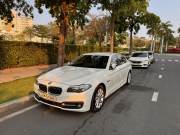 Bán xe BMW 5 Series 2016 520i giá 670 Triệu - TP HCM