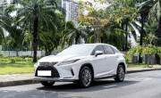 Bán xe Lexus RX 2020 300 giá 2 Tỷ 439 Triệu - TP HCM