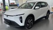 Bán xe VinFast Limo Green 2026 AT giá 629 Triệu - TP HCM