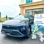 Bán xe VinFast Limo Green 2025 AT giá 629 Triệu - Thái Bình