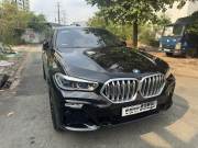 Bán xe BMW X6 2020 xDrive40i M Sport giá 2 Tỷ 290 Triệu - TP HCM