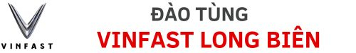Đào Tùng - Vinfast Long Biên