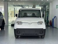 Bán xe VinFast EC Van 2026 Nâng Cao Cửa Trượt giá 306 Triệu - TP HCM