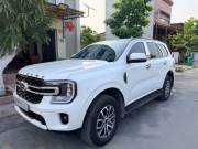 Bán xe Ford Everest 2025 Ambiente 2.0L 4x2 AT giá 1 Tỷ 59 Triệu - TP HCM