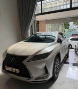 Bán xe Lexus RX 2022 300 giá 2 Tỷ 950 Triệu - TP HCM