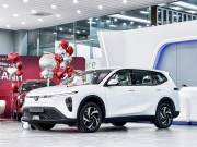 Bán xe VinFast Limo Green 2025 AT giá 600 Triệu - Hà Nội