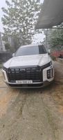Bán xe Hyundai Palisade 2024 Exclusive 2.2 AT giá 1 Tỷ 230 Triệu - Lào Cai