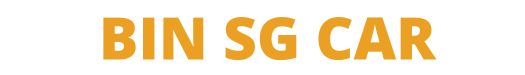 Bin SG Car