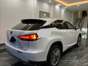 Bán xe Lexus RX 2020 300 giá 2 Tỷ 500 Triệu - Đà Nẵng