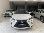 Bán xe Lexus NX 300 2019 giá 1 Tỷ 720 Triệu - Hà Nội