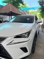 Bán xe Lexus NX 300 2019 giá 1 Tỷ 880 Triệu - Hà Nội