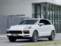 Bán xe Porsche Cayenne 2022 Platinum Edition giá 3 Tỷ 789 Triệu - TP HCM