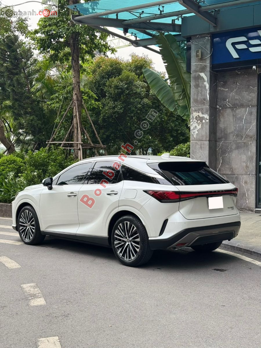 Lexus RX 350 Premium 2024 - 2 Tỷ 899 Triệu 4
